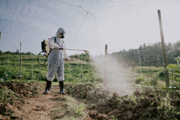 Best Pest Removal Services  in Dunes City, OR