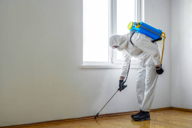 Best Emergency Pest Control  in Dunes City, OR