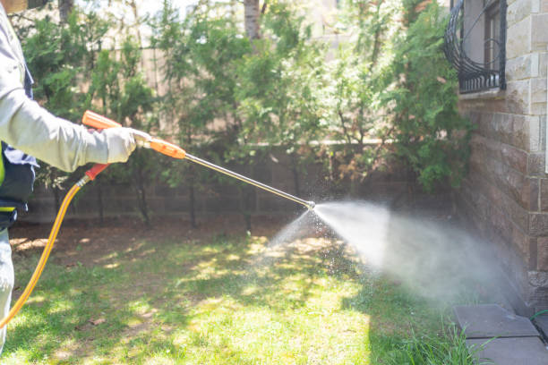 Best Affordable Pest Control Services  in Dunes City, OR