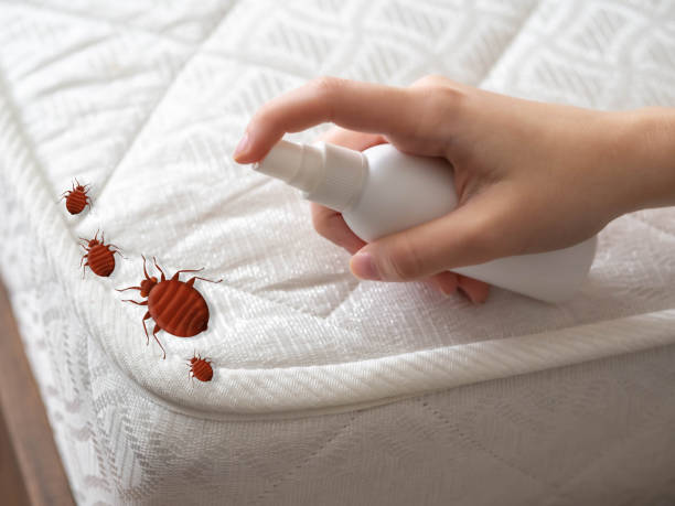 Best Flea Control Services  in Dunes City, OR