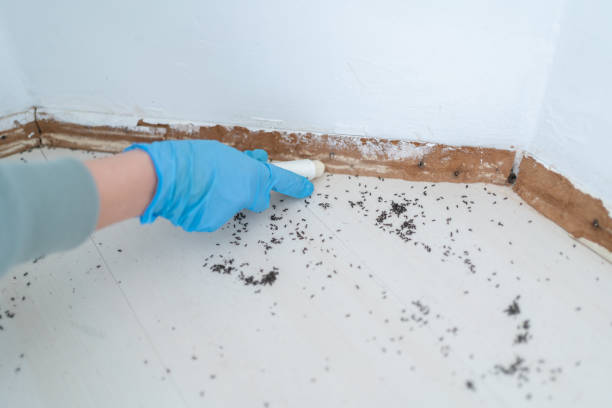 Best Residential Pest Control  in Dunes City, OR